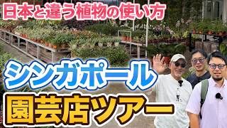 シンガポール園芸店ツアー のサムネイル